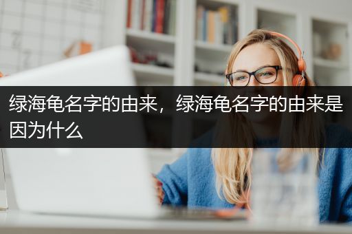 绿海龟名字的由来，绿海龟名字的由来是因为什么